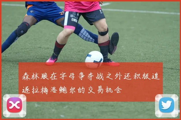 森林狼在字母争夺战之外还积极追逐拉梅洛鲍尔的交易机会