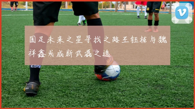 国足未来之星寻找之路王钰栋与魏祥鑫或成新武磊之选